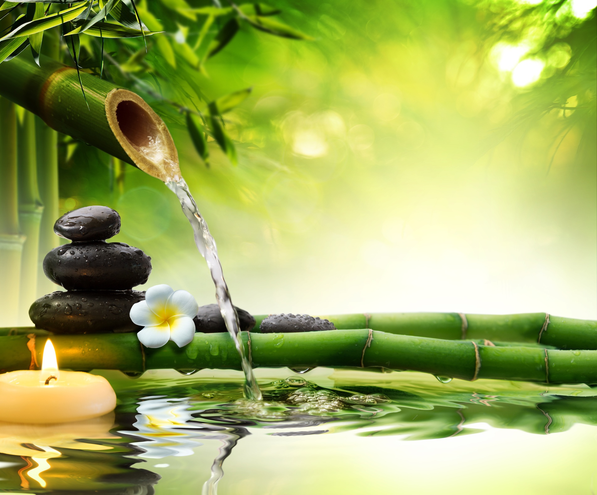 Partnersuche feng shui