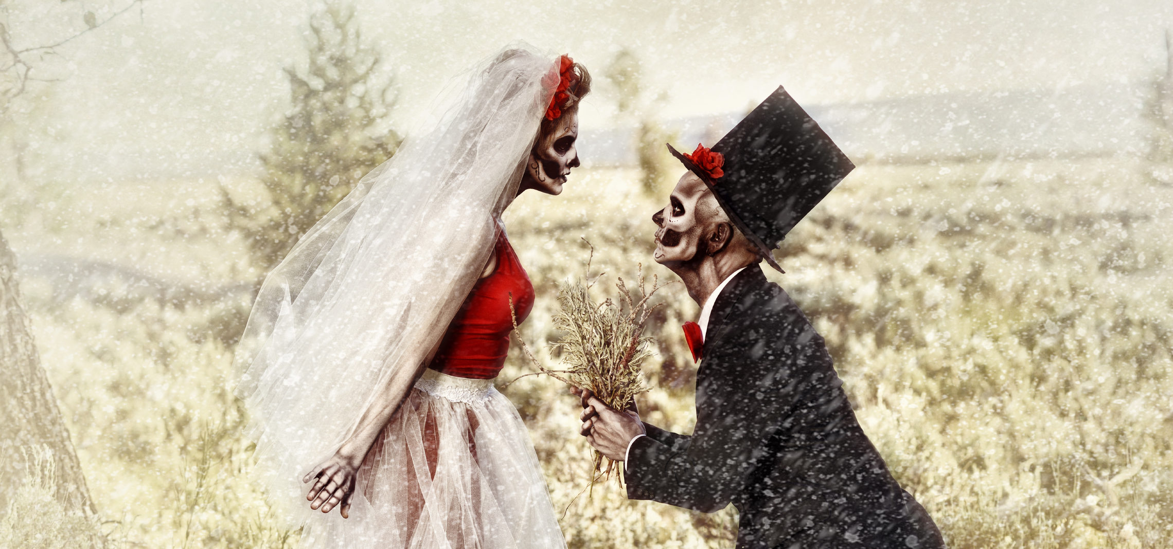 sites de rencontres spirituels en ligneGuy en ligne rencontres profils