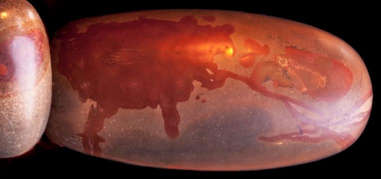 pierre Shiva Lingham pierre Shiva Lingham