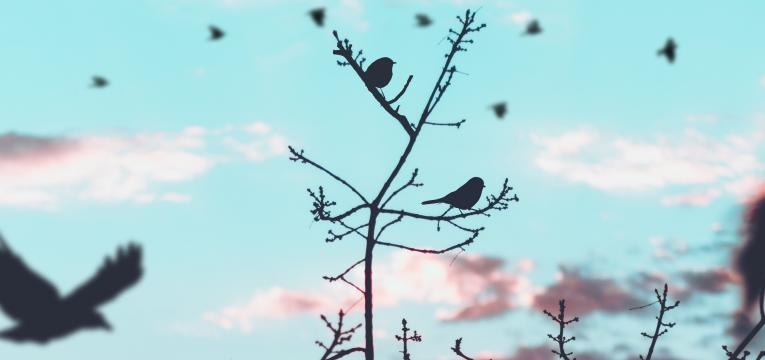 écouter son intuition écouter son intuition