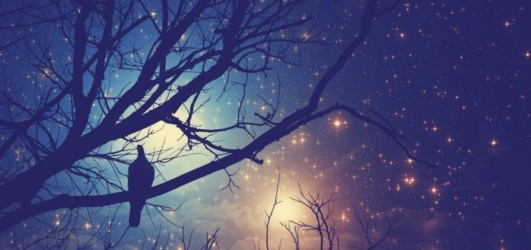 pleine lune en 2019 pleine lune en 2019