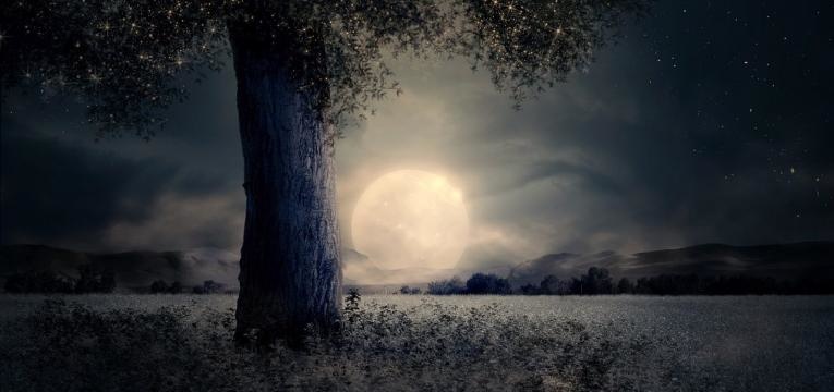 meilleure lune pour planter en 2019
