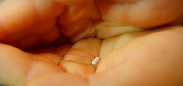 phytothérapie et l'homéopathie phytothérapie et l'homéopathie