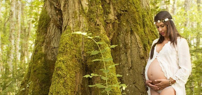 phytothérapie pour la grossesse phytothérapie pour la grossesse