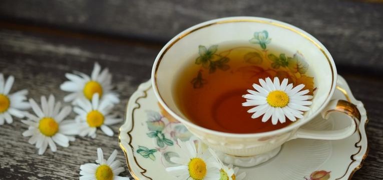 phytothérapie et le cancer