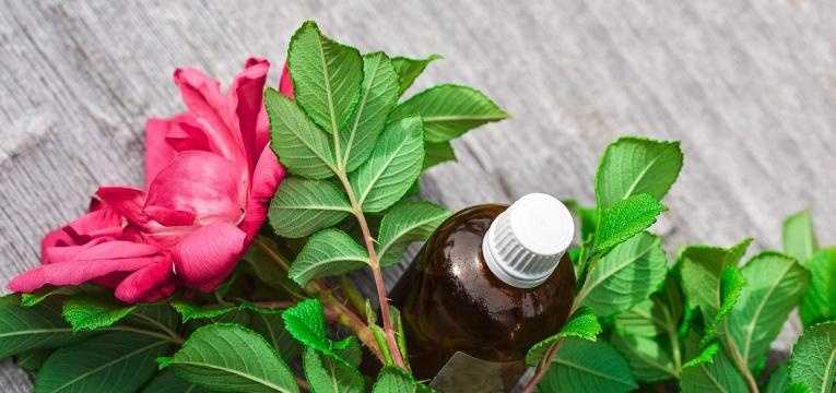 L'utilisation de fleurs de Bach L'utilisation de fleurs de Bach