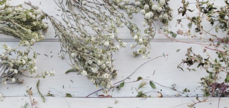 herbes pour le bain de nettoyage des enfants