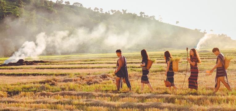 plantes enthéogènes