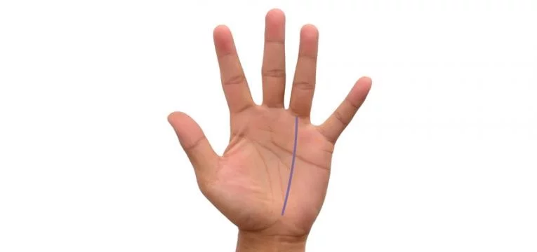 lignes inhabituelles en chiromancie_ligne du soleil lignes inhabituelles en chiromancie - ligne du soleil