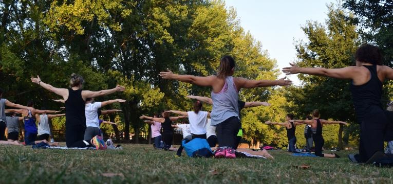 respiration du lion respiration du lion