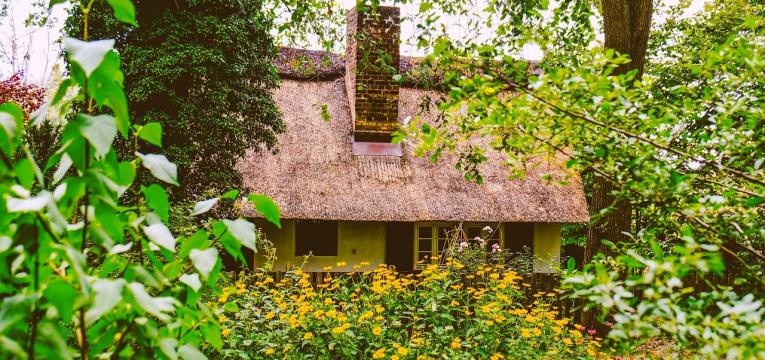 Pourquoi faut-il éviter de disposer des plantes en hauteur