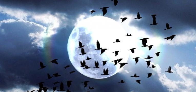 pouvoir lunaire mensuel pouvoir lunaire mensuel