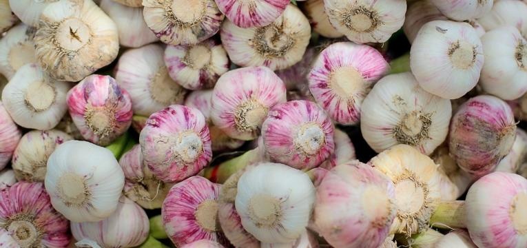 rituel à l'ail pour les enfants rituel à l'ail pour les enfants