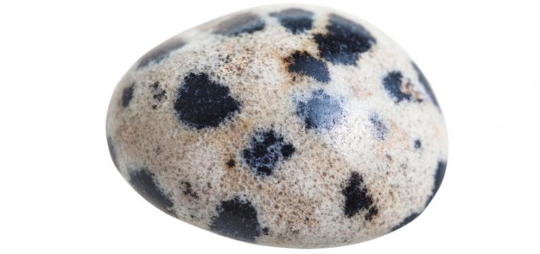 pierre jaspe dalmatien