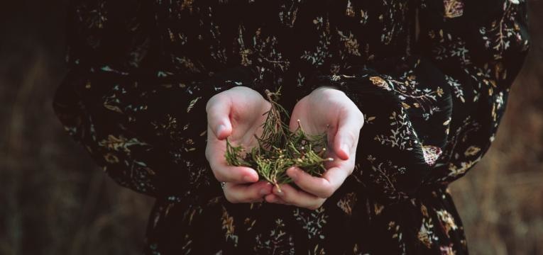 déclin du chamanisme déclin du chamanisme