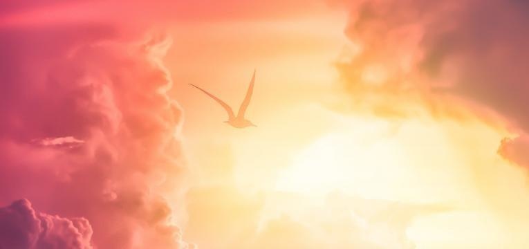 don spirituel don spirituel