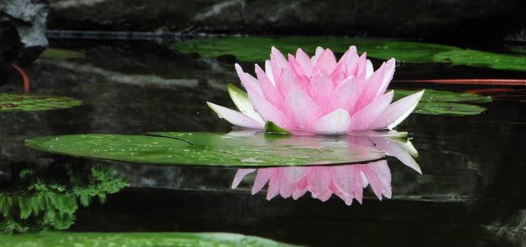 effets secondaires du reiki effets secondaires du reiki