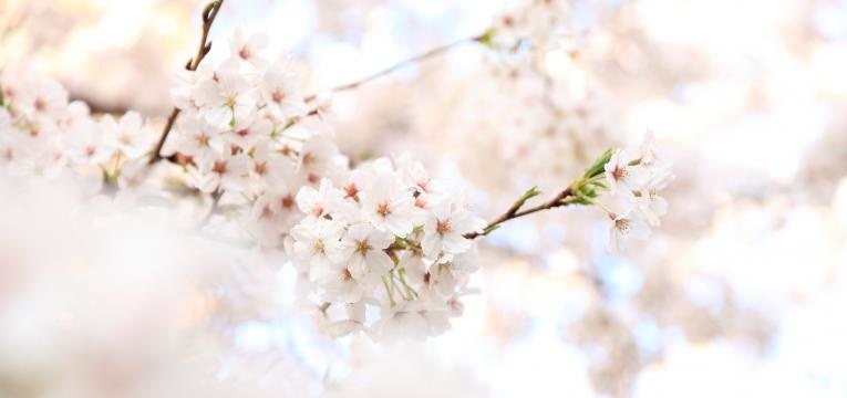 énergies négatives et feng shui énergies négatives et feng shui