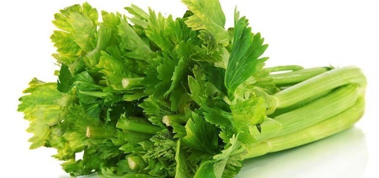 huile essentielle de céleri l’huile essentielle de céleri