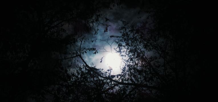 méditer pendant la pleine Lune méditer pendant la pleine Lune
