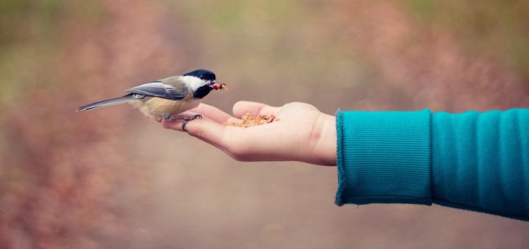 mont lunaire en chiromancie