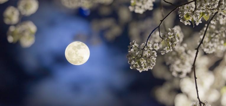 phénomènes astronomiques de novembre phénomènes astronomiques de novembre