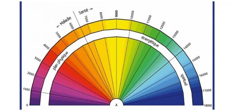 planches bovis pour la radiesthésie