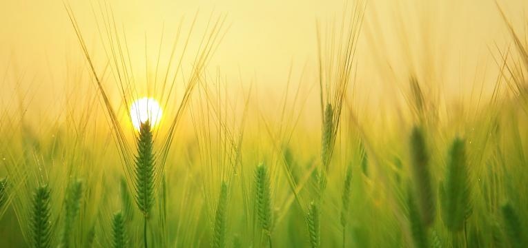 Sachiel archange de la prospérité et de l’abondance Sachiel archange de la prospérité et de l’abondance
