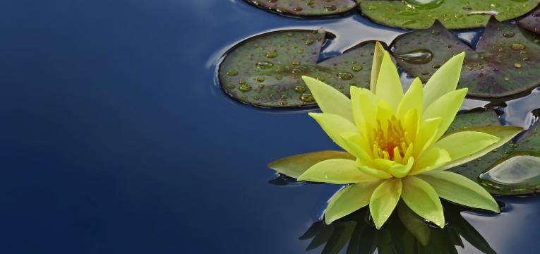 stimule l'énergie avec le feng shui stimule l'énergie avec le feng shui