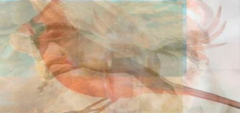 test de personnalité sur la vision