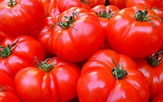 aliments qui aident à vivre plus longtemps