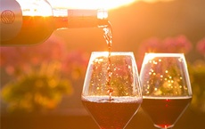 aliments qui aident à vivre plus longtemps