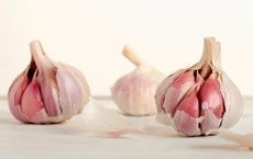 aliments qui rajeunissent ou préviennent des maladies