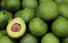 aliments qui rajeunissent ou préviennent des maladies