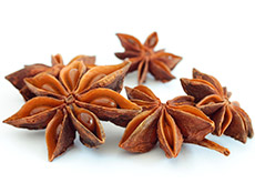 encens du signe du zodiaque vierge