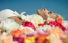 caractéristiques des signes astrologiques cancer