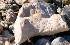 pierres de lithothérapie Corail