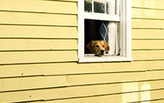 couleurs d’une maison en feng shui
