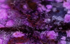 cristaux pour les âmes sensibles