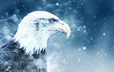 gardiens des portails