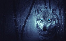 gardiens des portails