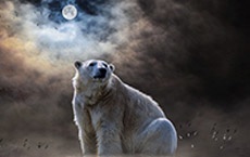 gardiens des portails