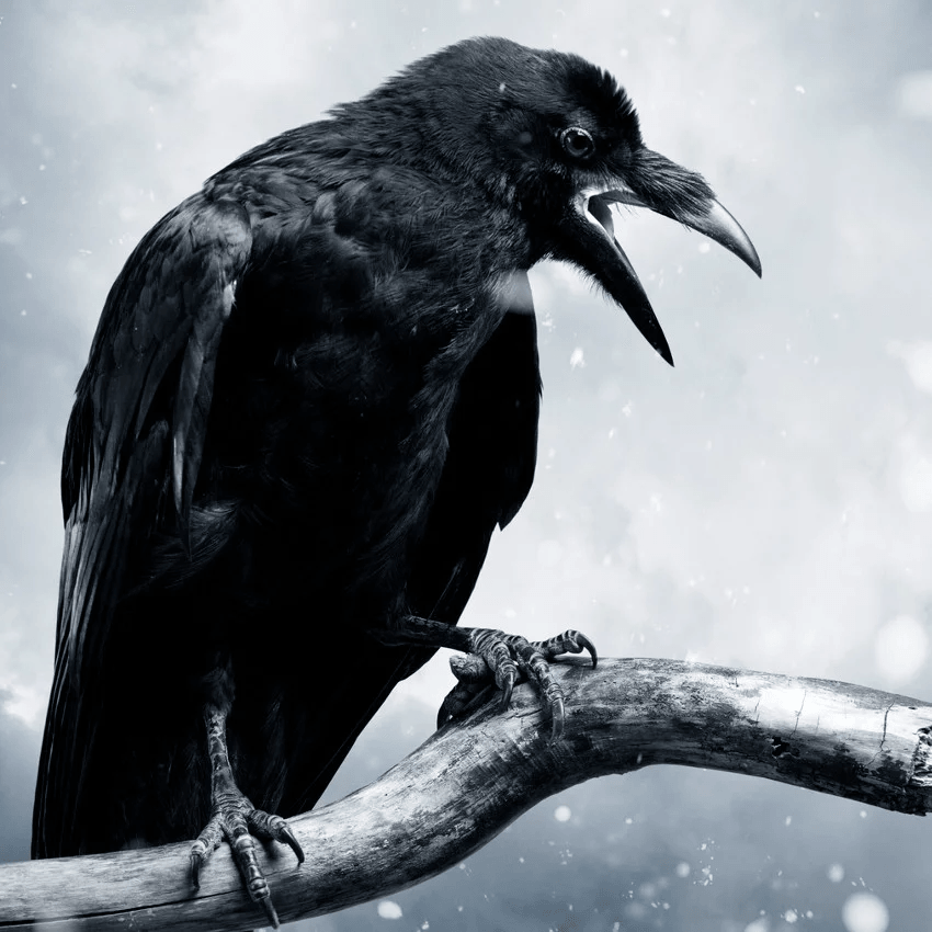 horoscope amérindien