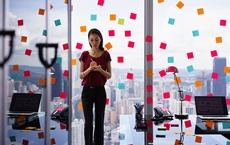 horoscope chinois 2018 de la chèvre