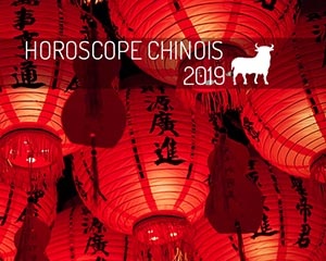 année chinoise 2019 : buffle