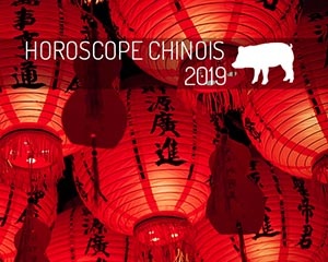 année chinoise 2019 : cochon