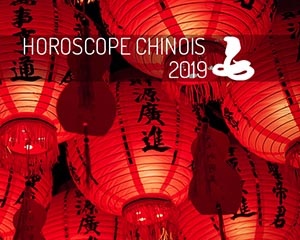 année chinoise 2019 : serpent
