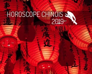 année chinoise 2019 : singe