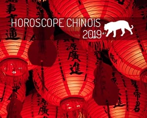 année chinoise 2019 : tigre