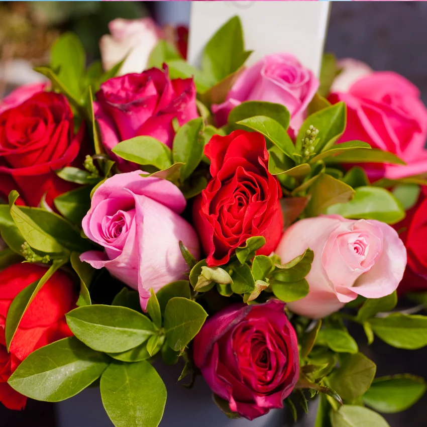 Horoscope des fleurs BALANCE